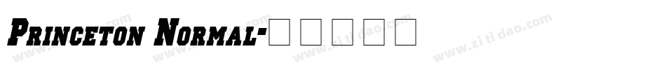 Princeton Normal字体转换